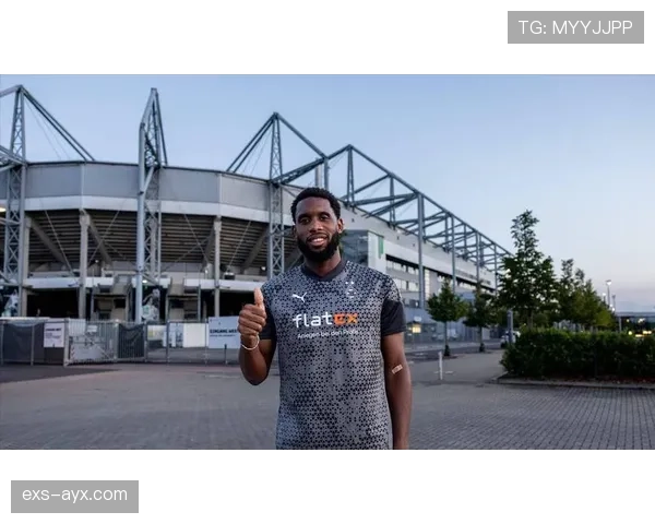 德甲转会战况升级：多队竞逐潜力新星，转会市场热度飙升引关注