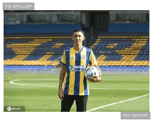 迪马利亚职业解析